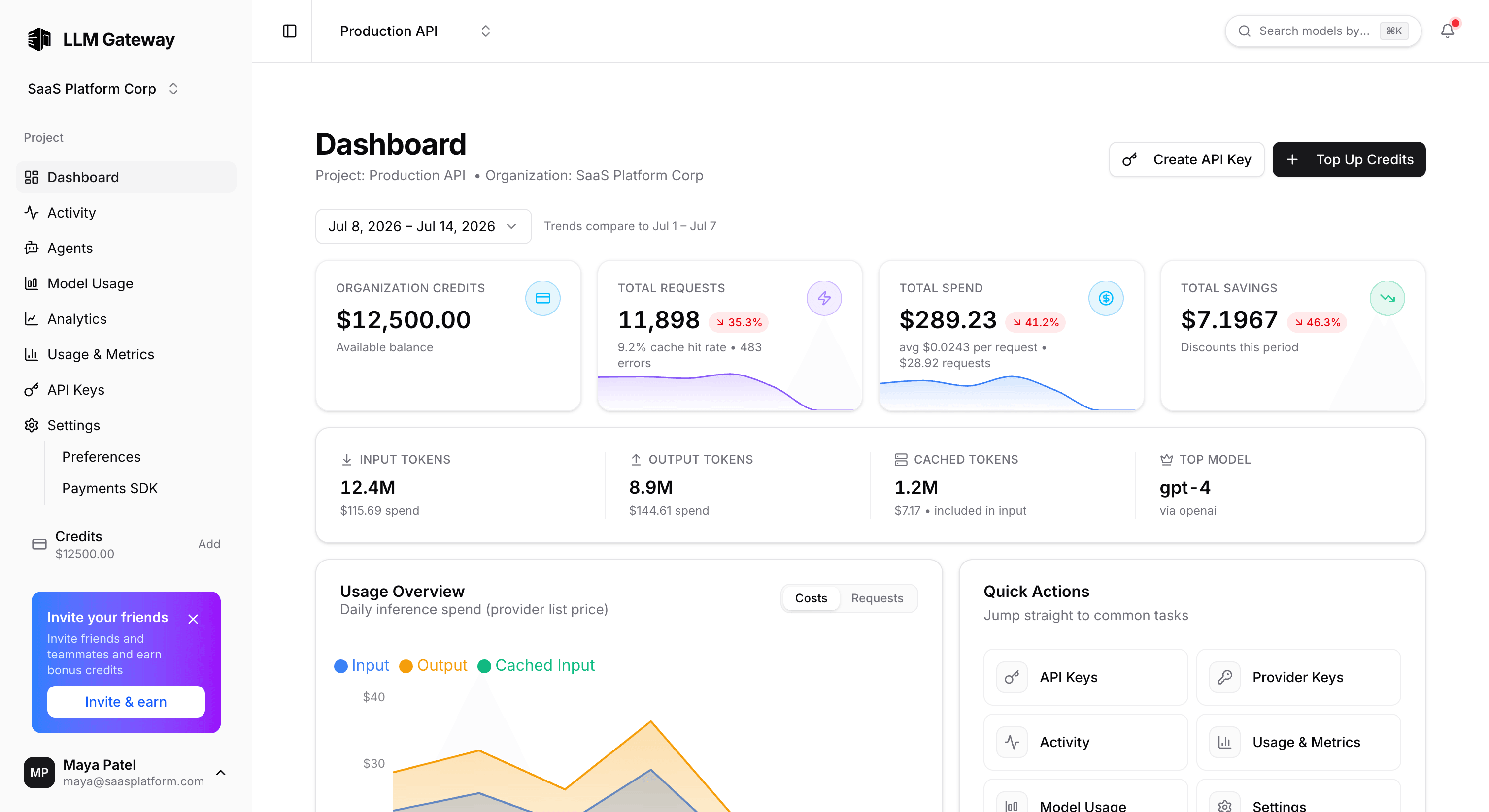 LLM Gateway dashboard showing analytics and API usage