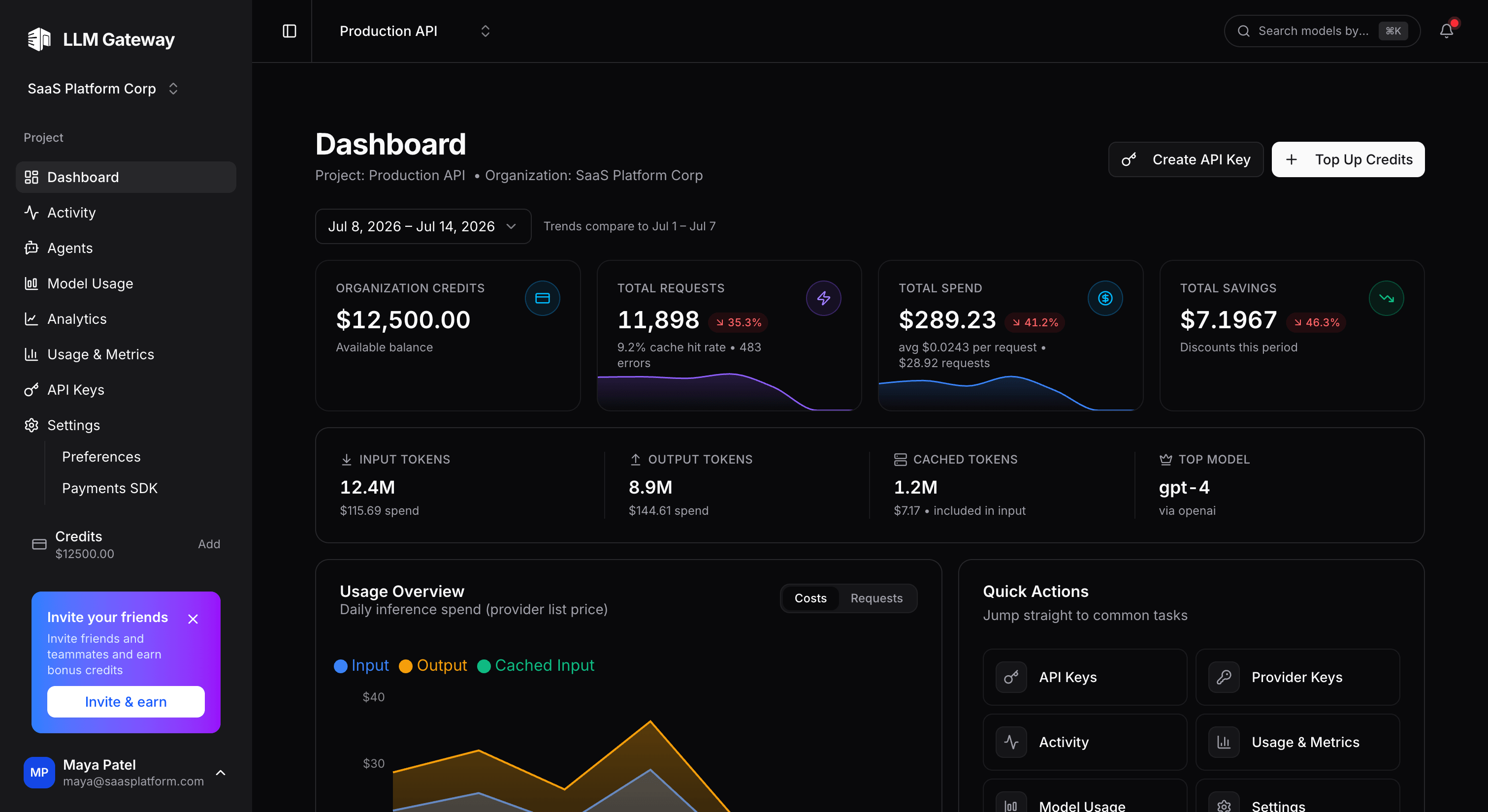 LLM Gateway dashboard showing analytics and API usage